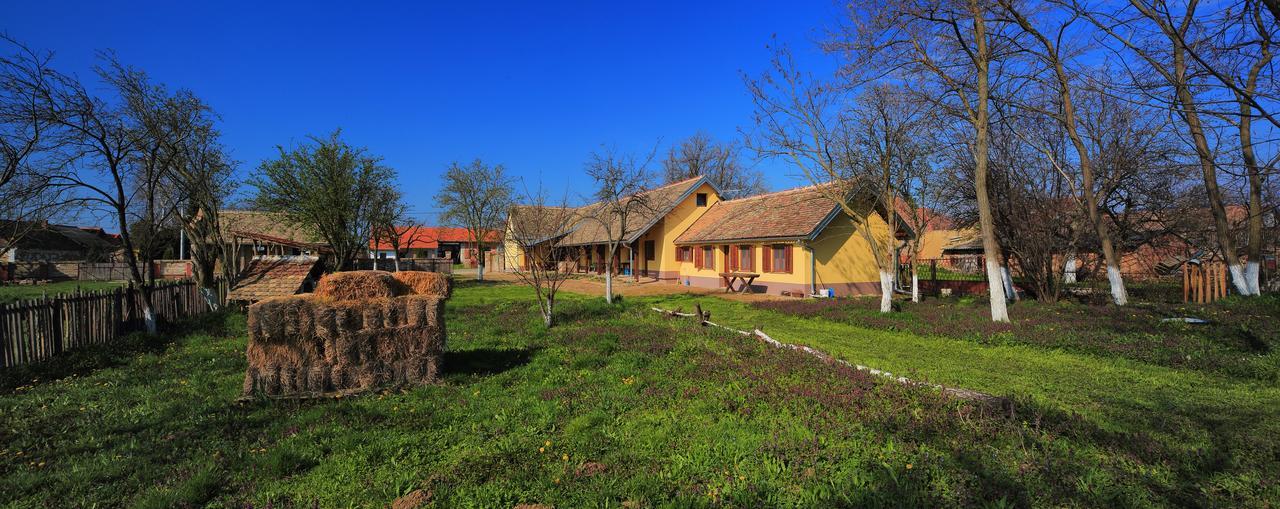 Sobe Kod Baje - Baranjska Kuca Bed and Breakfast Karanac Buitenkant foto