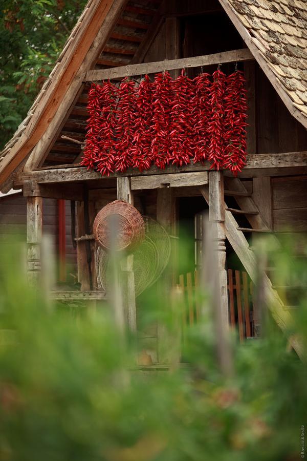 Sobe Kod Baje - Baranjska Kuca Bed and Breakfast Karanac Buitenkant foto